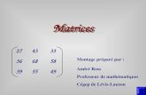 Montage préparé par : André Ross Professeur de mathématiques Cégep de Lévis-Lauzon Matrices 27 36 39 43 68 55 33 58 49.