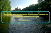 Analyse des pressions exercées par les phénomènes déclusées sur les écosystèmes de la rivière Dordogne Bilan provisoire.