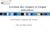 1 Gestion des risques et risque infectieux Formation Cadres de santé FELIN Mai 2010.