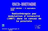 Radiothérapie par modulation dintensité (IMRT) dans le cancer de la prostate E. LE PRISE C. LAFOND J.P. MANENS SAINT-BRIEUC – 9 septembre 2005 Institut.