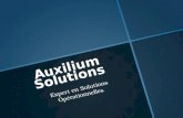 Auxilium Solutions Expert en Solutions Opérationnelles.