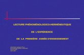 LECTURE PHÉNOMÉNOLOGICO-HERMÉNEUTIQUE DE LEXPÉRIENCE DE LA PREMIÈRE ANNÉE DENSEIGNEMENT Anne Marie Lamarre, Ph. D. Université du Québec à Rimouski Pour.