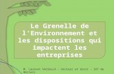 Le Grenelle de lEnvironnement et les dispositions qui impactent les entreprises M. Laurent VASSALLO – Docteur en droit – IUT de Béziers.