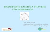 TRANSFERTS PASSIFS À TRAVERS UNE MEMBRANE Pr E. Garin, PU-PH, Biophysique/Service de médecine nucléaire Université Rennes 1/Centre Eugène Marquis.