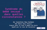 Syndrome du bébé secoué : dans quelles circonstances ? Dr Caroline Rey-Salmon UMJ Hôtel Dieu (Paris) Expert près la cour dappel de Paris Agréé par la cour.