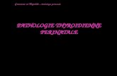 PATHOLOGIE THYROIDIENNE PERINATALE Grossesse et Thyroïde – Pathologie périnatale.