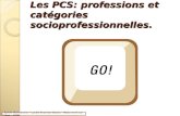 Les PCS: professions et catégories socioprofessionnelles. Sylvie Malhanche – Lycée Evariste Galois – Beaumont sur Oise - 2009.