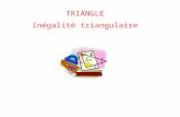 TRIANGLE Inégalité triangulaire 1.Définition 2.Cas du triangle. 3.Cas des points alignés. Plan du chapitre.