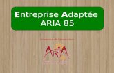 Entreprise Adaptée ARIA 85 Un service de lassociation :