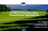 Agriculture et développement rural La PAC à lhorizon 2020 Propositions législatives Belén DISDIER RICO Unité E.1 DG Agriculture et développement rural.