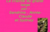 La crainte du grand large par : Sandrine, Annie-Claude et Sydney.