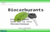 1 Biocarburants Thierry MELKIOR CEA Etat des lieux Zoom sur la voie thermochimique.