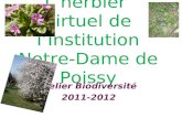 Lherbier virtuel de lInstitution Notre-Dame de Poissy Atelier Biodiversité 2011-2012.