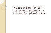 Correction TP 19 : la photosynthèse à léchelle planétaire.