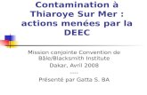 Contamination à Thiaroye Sur Mer : actions menées par la DEEC Mission conjointe Convention de Bâle/Blacksmith Institute Dakar, Avril 2008 ---- Présenté