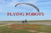 FLYING ROBOTS Donner des ailes à vos ambitions Survoler les contraintes terrestres