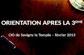 ORIENTATION APRES LA 3 EME CIO de Savigny le Temple – février 2013.