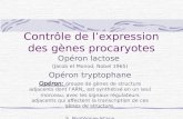 Contrôle de lexpression des gènes procaryotes Opéron lactose (Jacob et Monod, Nobel 1965) Opéron tryptophane Opéron: Opéron: groupe de gènes de structure.