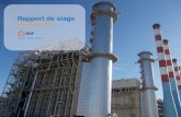 Rapport de stage Licence pro CSSA. I. Le groupe EDF II. Les moyens de production III. La centrale thermique a flamme IV. La prévention des risques et.