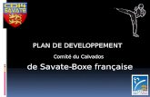 PLAN DE DEVELOPPEMENT Comité du Calvados de Savate-Boxe française.