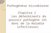 Pathogénèse microbienne Chapitre 1 Les déterminants du pouvoir pathogène (et donc de la maladie infectieuse) 1.