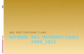BAC PRO TERTIAIRE 3 ANS. LA REFORME DES PROGRAMMES ET DE LENSEIGNEMENT DES MATHS Zina Amour- Avril 2012.