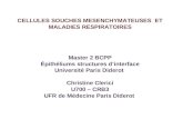 CELLULES SOUCHES MESENCHYMATEUSES ET MALADIES RESPIRATOIRES Master 2 BCPP Épithéliums structures dinterface Université Paris Diderot Christine Clerici.