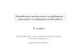 Modélisation markovienne en phylogénie : contraintes et adaptations moléculaires N. Galtier CNRS UMR 5554 – Institut des Sciences de lEvolution Université
