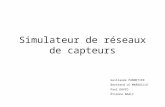 Simulateur de réseaux de capteurs Guillaume PANNETIER Bertrand LE MAROUILLE Paul DAVID Étienne BAALI.