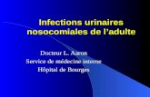 Infections urinaires nosocomiales de ladulte Docteur L. Aaron Service de médecine interne Hôpital de Bourges.