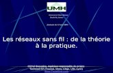 Université de Mons-Hainaut Faculté des Sciences Séminaire du 23 mars 2004 : Les réseaux sans fil : de la théorie à la pratique. Michel Beaupère. Ingénieur.