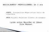 1 Lycée entre Meurthe et Sânon Site Monnet VENTE Prospection-Négociation-Suivi de clientèle ARCU Accueil-Relation Clients et Usagers Laurence MARCHAL et.