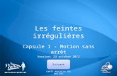 Les feintes irrégulières Capsule 1 - Motion sans arrêt Version: 23 octobre 2012 COMITÉ PROVINCIAL DES ARBITRES Suivant.