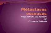 Présentation Soins Palliatifs par Chrysanthi Psyharis.