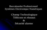 Baccalauréat Professionnel Systèmes Electronique Numériques Champ Technologique Télécom et réseaux & Sécurité alarme.