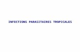 INFECTIONS PARASITAIRES TROPICALES. UE 6 N° 166. Paludisme - Connaître les circonstances imposant la recherche d'un paludisme et les examens complémentaires.