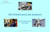 1 BTS Maintenance des Systèmes 3 e CPC sous-commission EEAI Ex BTS Maintenance Industrielle Dominique PETRELLA – IA-IPR STI.