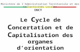Le C ycle de C oncertation et de C apitalisation des organes dorientation Ministère de lAdministration Territoriale et des Collectivités Locales DNCT.