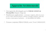 1 Approche Architecturale Une approche développée par le CIRAD AMAP de Montpellier depuis vingt ans Nombreuses applications : croissance végétale, effets.