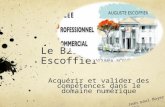 Le B2i au LPCH Escoffier Acquérir et valider des compétences dans le domaine numérique Jean paul Boyer 2012.