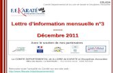 Lettre dinformation mensuelle n°3 ----- Décembre 2011 Avec le soutien de nos partenaires CDLKDA Comité Départemental de la Loire de karaté et Disciplines.