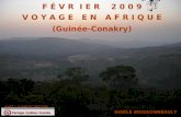 F É V R I E R 2 0 0 9 V O Y A G E E N A F R I Q U E (Guinée-Conakry) AVEC LA PARTICIPATION GISÈLE BOISSONNEAULT.