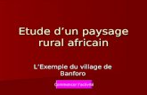 Etude dun paysage rural africain LExemple du village de Banforo Commencer lactivité