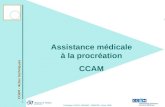 CCAM - Actes techniques 1 Formation CCAM - SMAMIF - MESPES - Mars 2006 Assistance médicale à la procréation CCAM.
