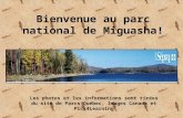 Bienvenue au parc national de Miguasha! Les photos et les informations sont tirées du site de Parcs Québec, Images Canada et Pics4Learning.
