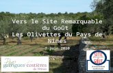 Vers le Site Remarquable du Goût Les Olivettes du Pays de Nîmes 7 juin 2010.
