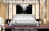 Situé à Grenoble, lhôtel "LES MAGNOLIAS" est un établissement 3 étoiles, qui offre un cadre chaleureux et moderne, un confort de qualité ainsi quun important.