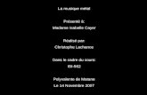 La musique métal Présenté à: Madame Isabelle Cayer Réalisé par: Christophe Lachance Dans le cadre du cours: ISI-562 Polyvalente de Matane Le 14 Novembre.