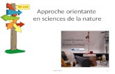Approche orientante en sciences de la nature 1AQPC 2013.