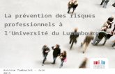 La prévention des risques professionnels à lUniversité du Luxembourg Antoine Tamborini – Juin 2013.